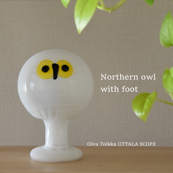 イッタラ Northern owl with foot scope-dypamak.org