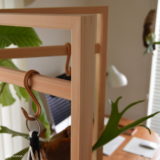 ベンガレンシスの挿し木 メネデール希釈水 鉢植えに わが家のここち